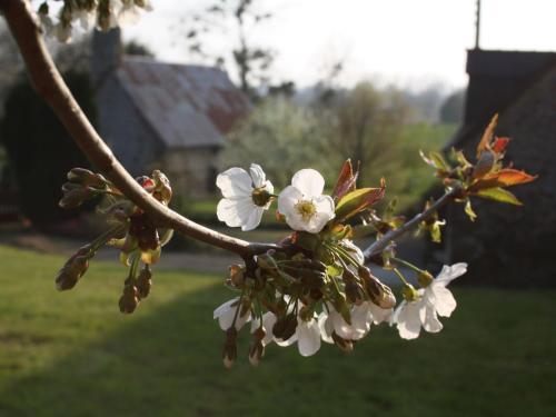 Holiday Home L Eguillere La Boussac