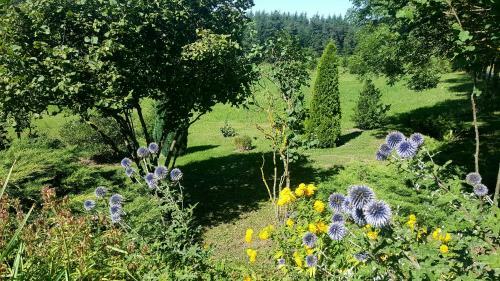 Bed & Breakfast La Crois�e Des Fleurs