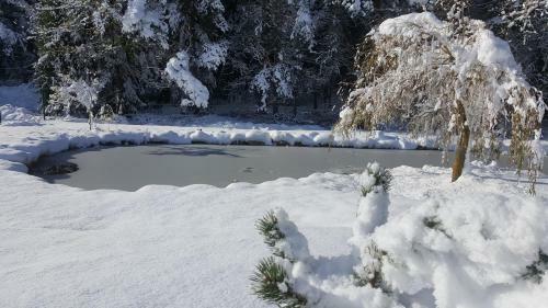 Bed & Breakfast La Crois�e Des Fleurs