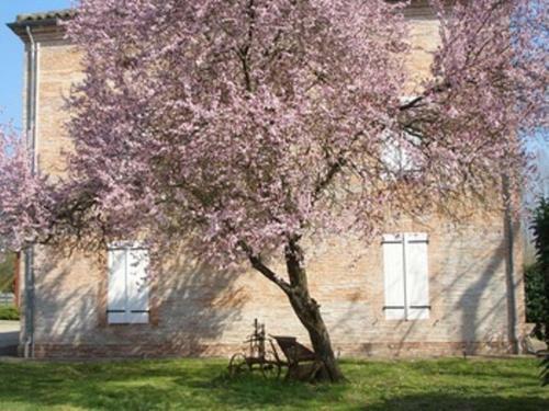 Bed & Breakfast Le Platane