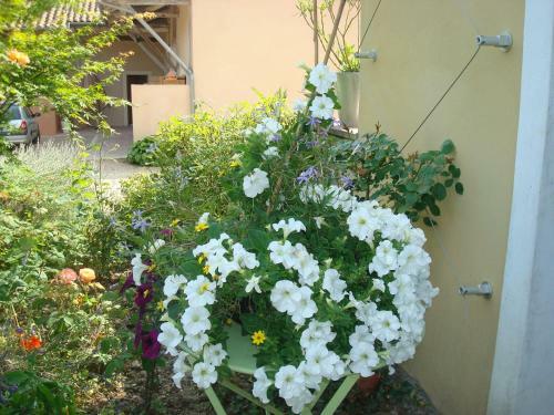 Bed & Breakfast La Chambre Du Meunier