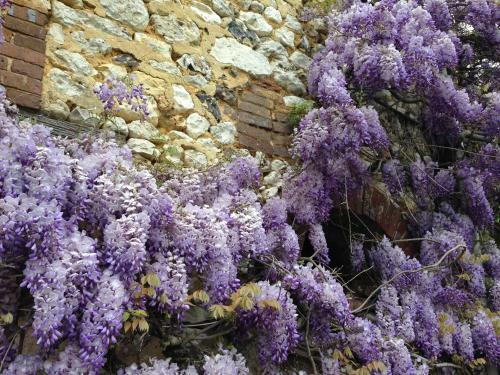 R�sidences Le Clos Du Manoir