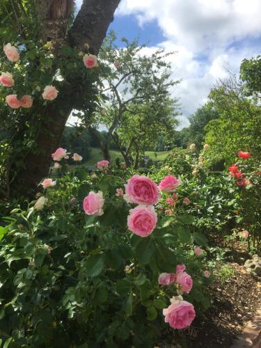 Bed & Breakfast Chambre D'h�te La Roseraie