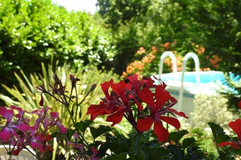 Bed & Breakfast Chambres D'hotes Pin Parasol