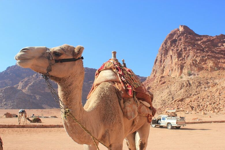 Bedouin Nomads Adventures