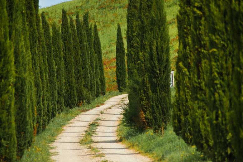 Agroturismo Podere Campaini