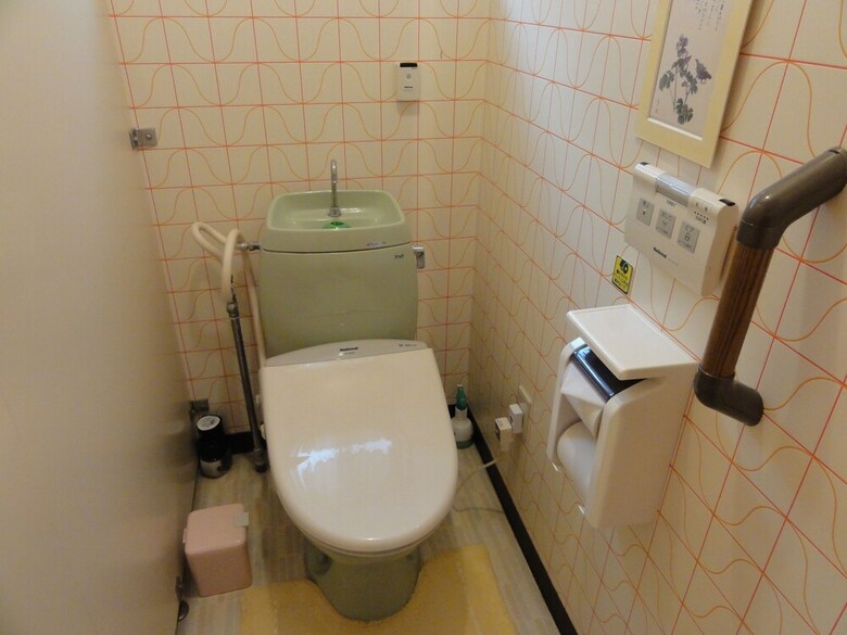 Hotel Tanigawadake Raspberry Youth Hostel
