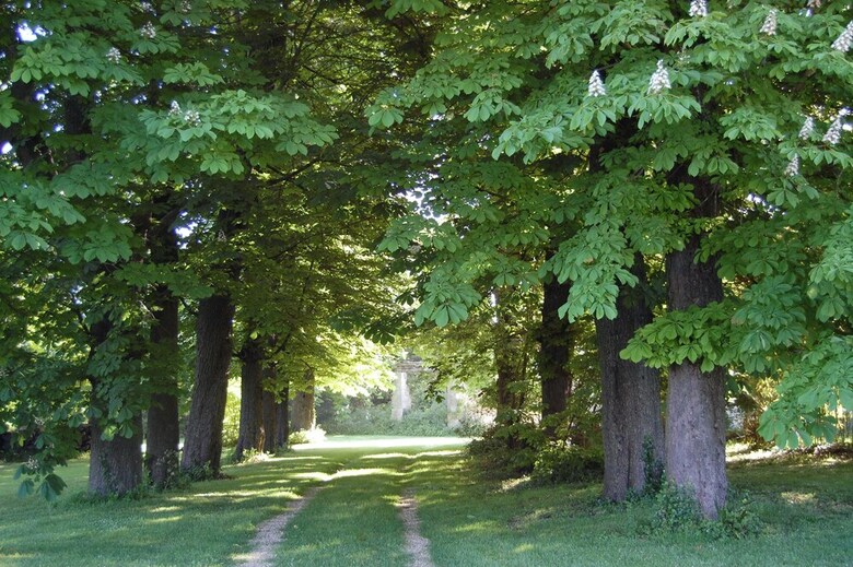 G�te Du Chateau