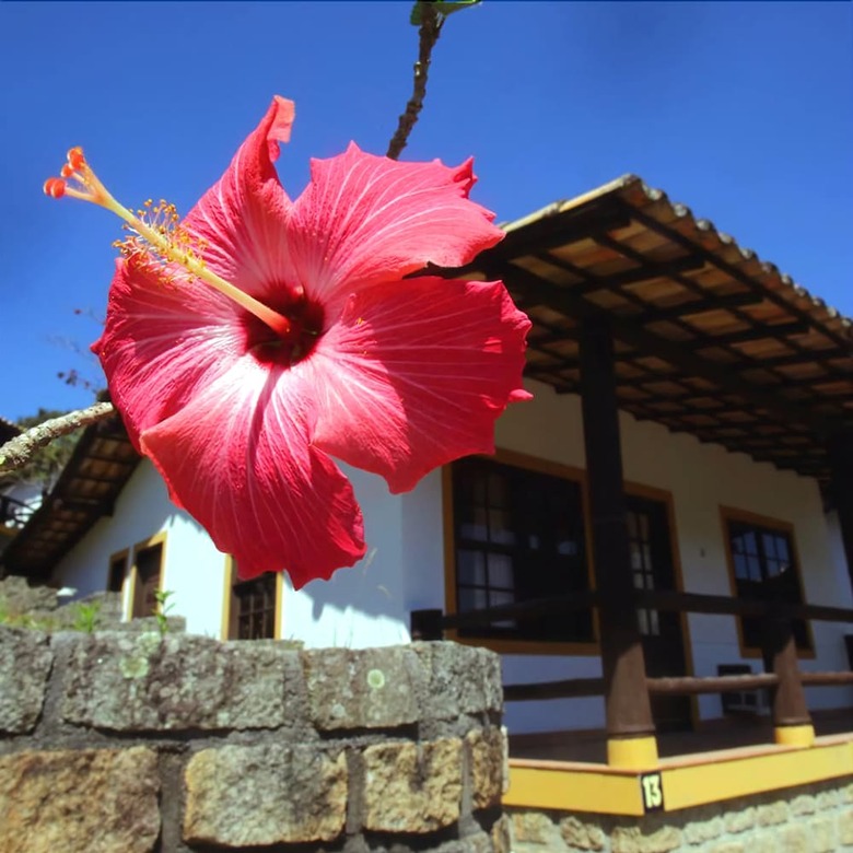 Hotel Cabanas Da Praia Mole