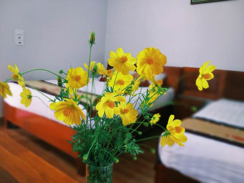 Bed & Breakfast Loren Homestay