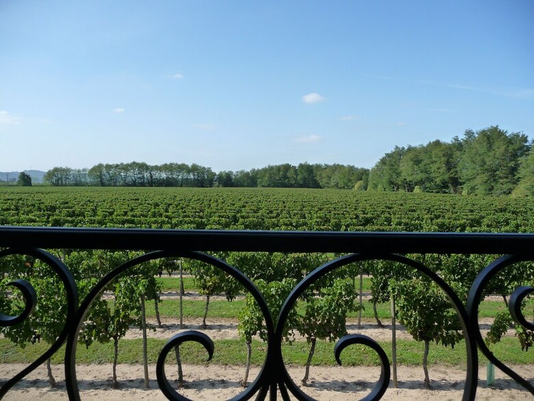 Domaine de Grande Font - Gites