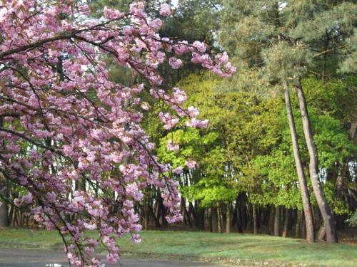 Bed & Breakfast Le Clos Du Ch�ne