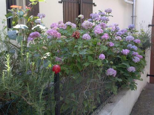 Bed & Breakfast Bienvenue Chez Nous
