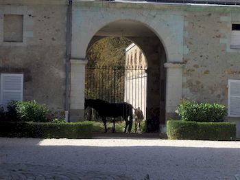 Bed & Breakfast Ch�teau De L'oiselini�re