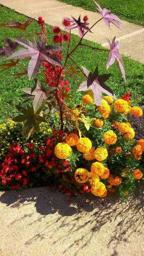 Hotel Campanile Besan�on Ecole Valentin