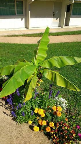 Hotel Campanile Besan�on Ecole Valentin