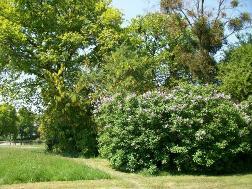 Bed & Breakfast Ch�teau Des Lutz