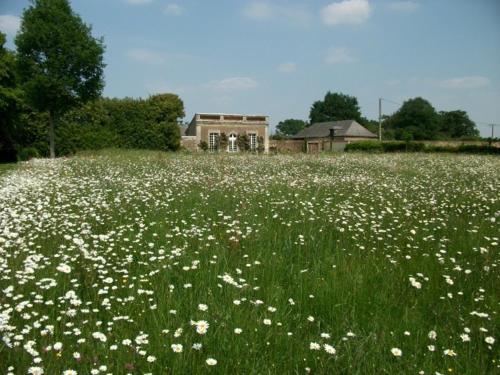 Bed & Breakfast Ch�teau Des Lutz