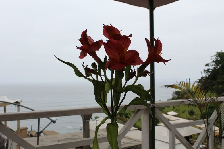 Apartamentos La Condesa de Barranco