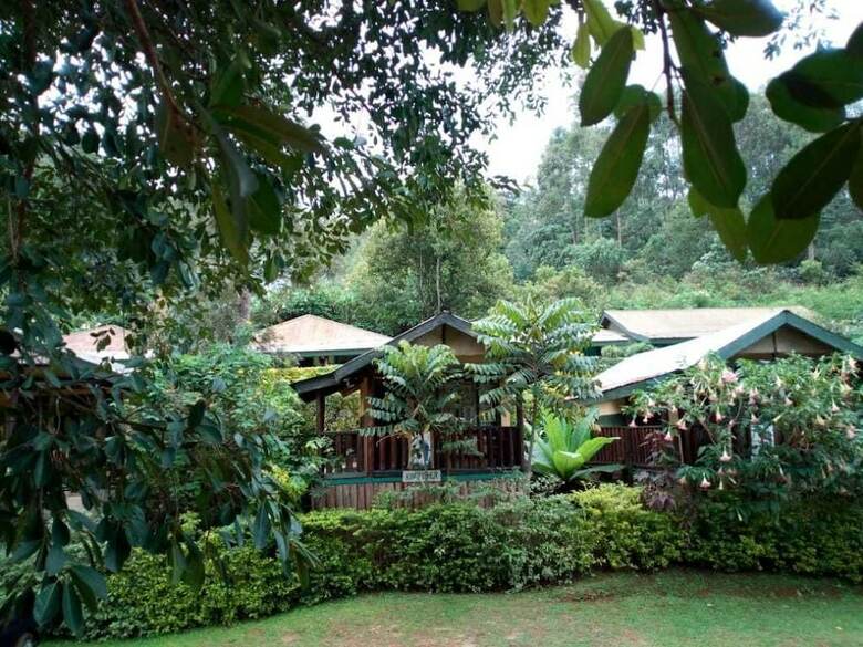Posada Bwindi View Lodge & Camp Site