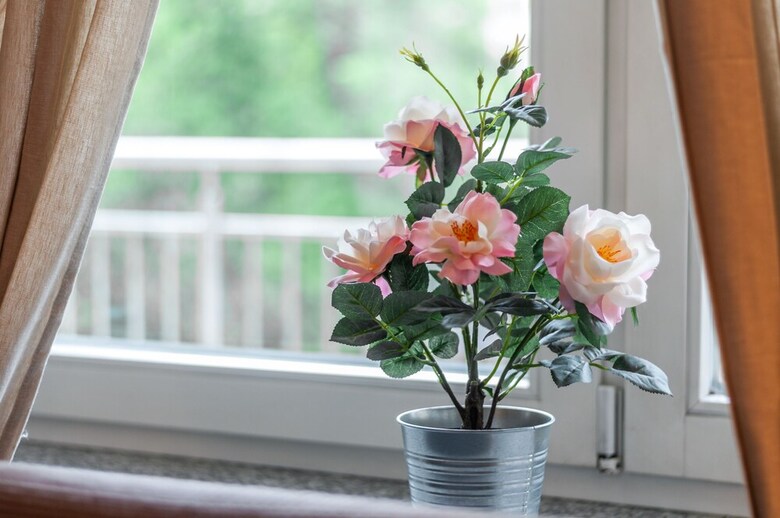 Apartamentos Little Home - Krucza 19