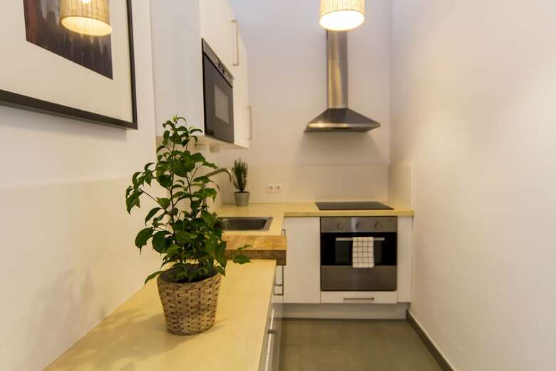 Apartamentos M�laga Picasso