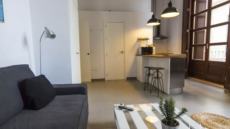 Apartamentos M�laga Picasso