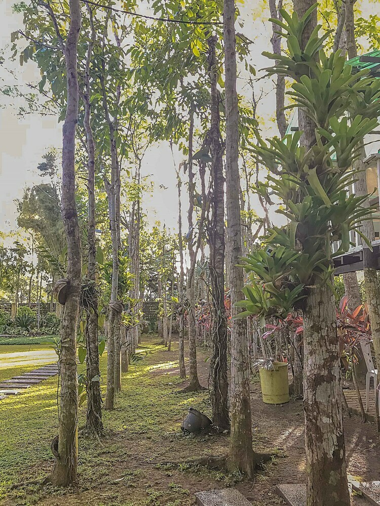 Loria Hotel Tagaytay
