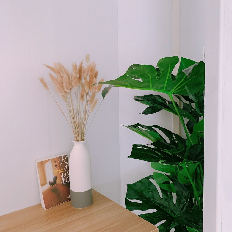 Hostal Shenzhen Tea-white Hostel