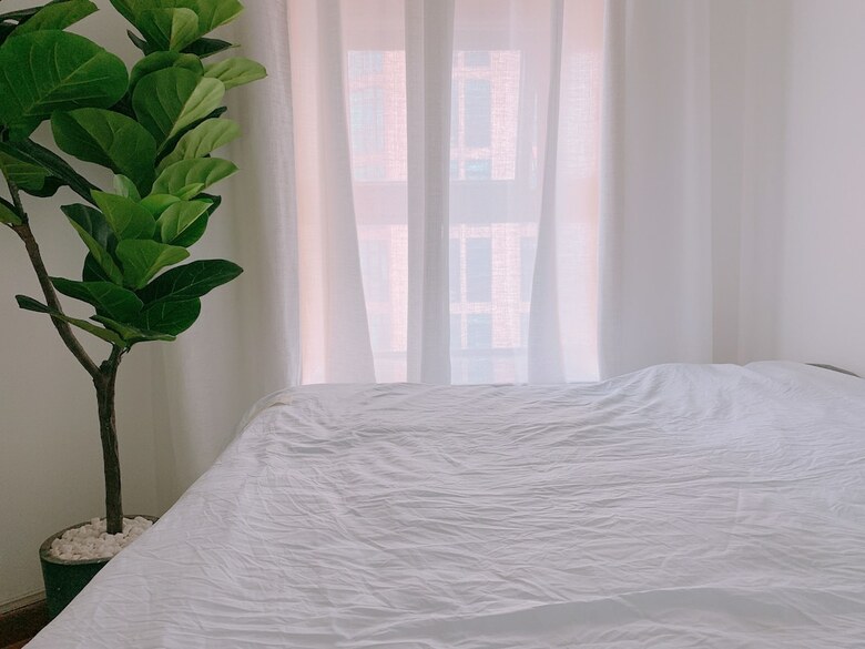 Hostal Shenzhen Tea-white Hostel