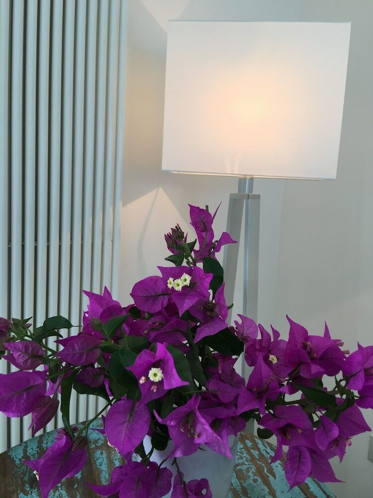 Hotel Agapanto Luxury Accommodation