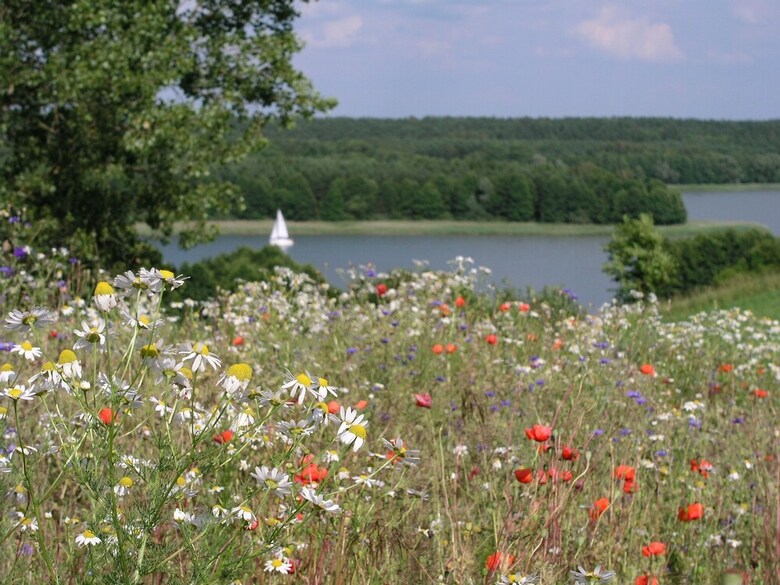 Villa Kamienny Ogr�d Holiday Park