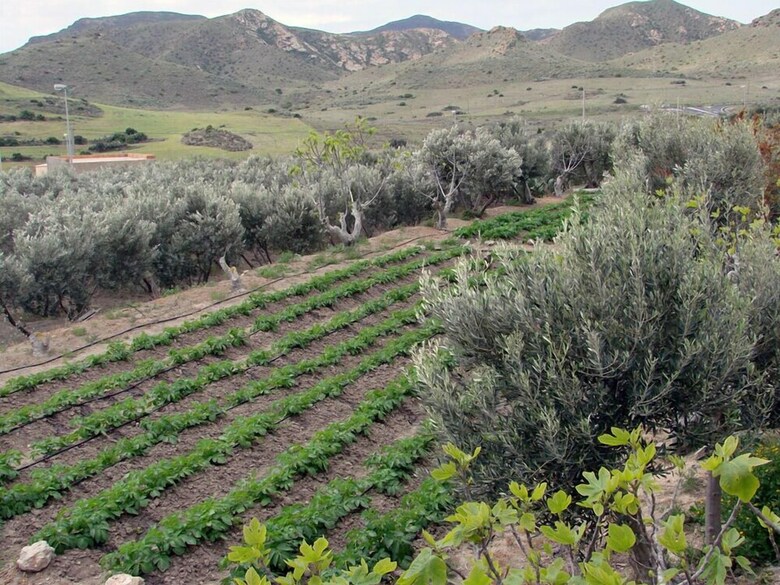 Hostal Los Palmitos Hospeder�a Rural