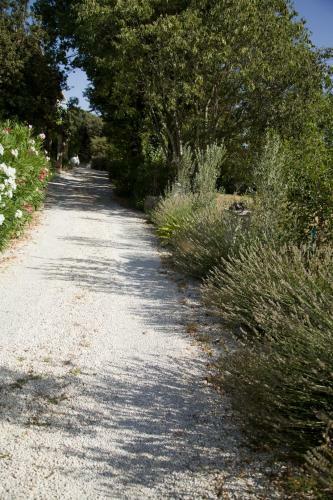 Hostal Chambres D'h�tes Le Mas Des Vignes Dions