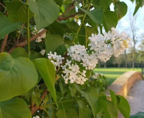 Bed & Breakfast Ch�teau De La Venerie