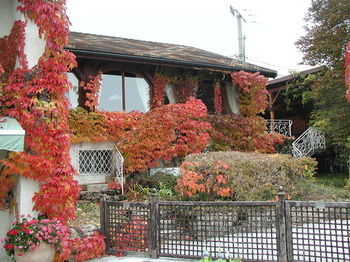 Hotel Auberge Des Chasseurs