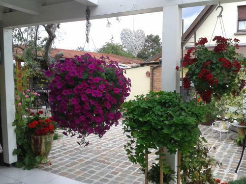 Hostal Maison D'h�tes Les Feuilles D'or