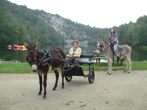 Ecuries Leseigneur - Camping Insolites