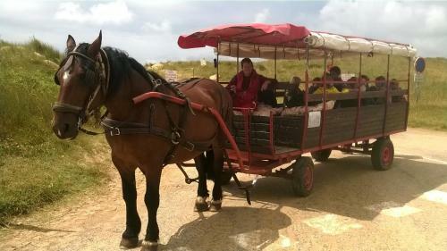 Ecuries Leseigneur - Camping Insolites