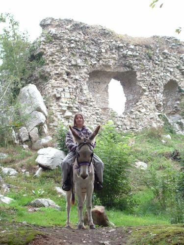 Ecuries Leseigneur - Camping Insolites
