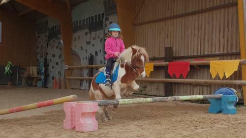 Ecuries Leseigneur - Camping Insolites