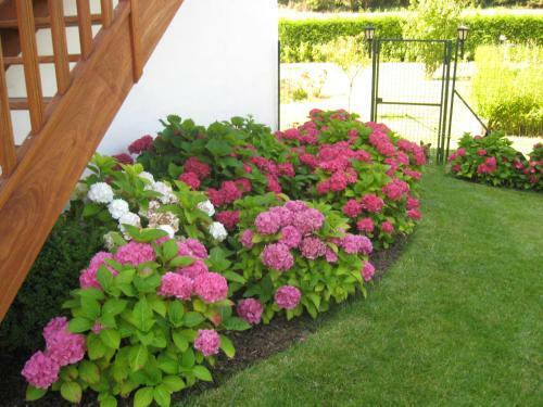 Hostal La Bourgade