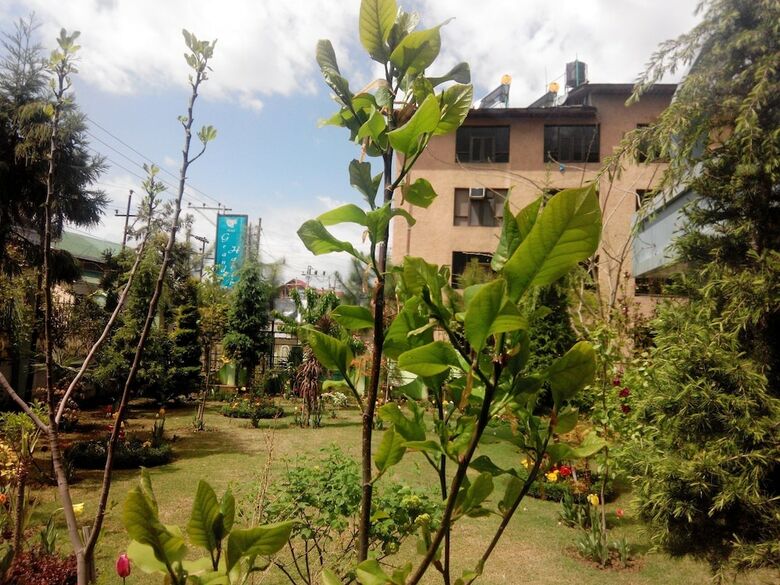 Hotel Grand Habib