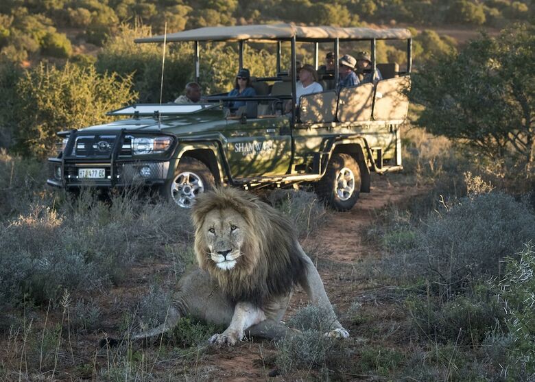 Hotel Shamwari Sindile - All Inclusive