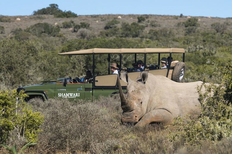 Hotel Shamwari Sindile - All Inclusive