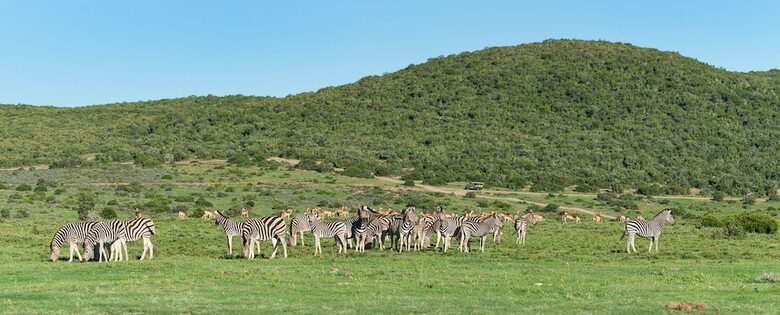 Hotel Shamwari Sindile - All Inclusive