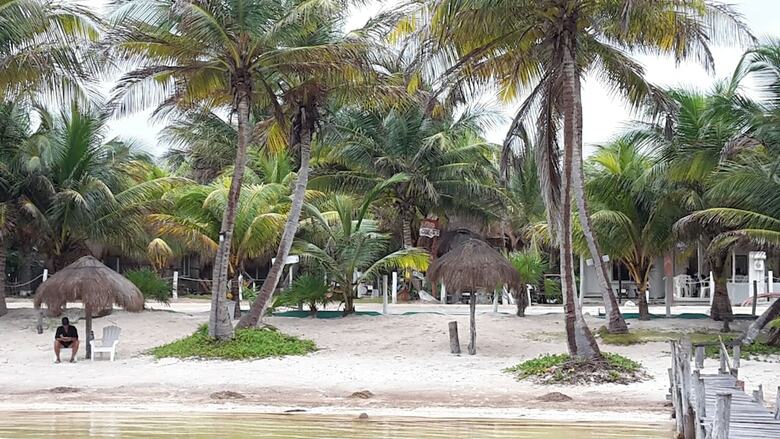 Hotel Las Caba�as Del Doctor