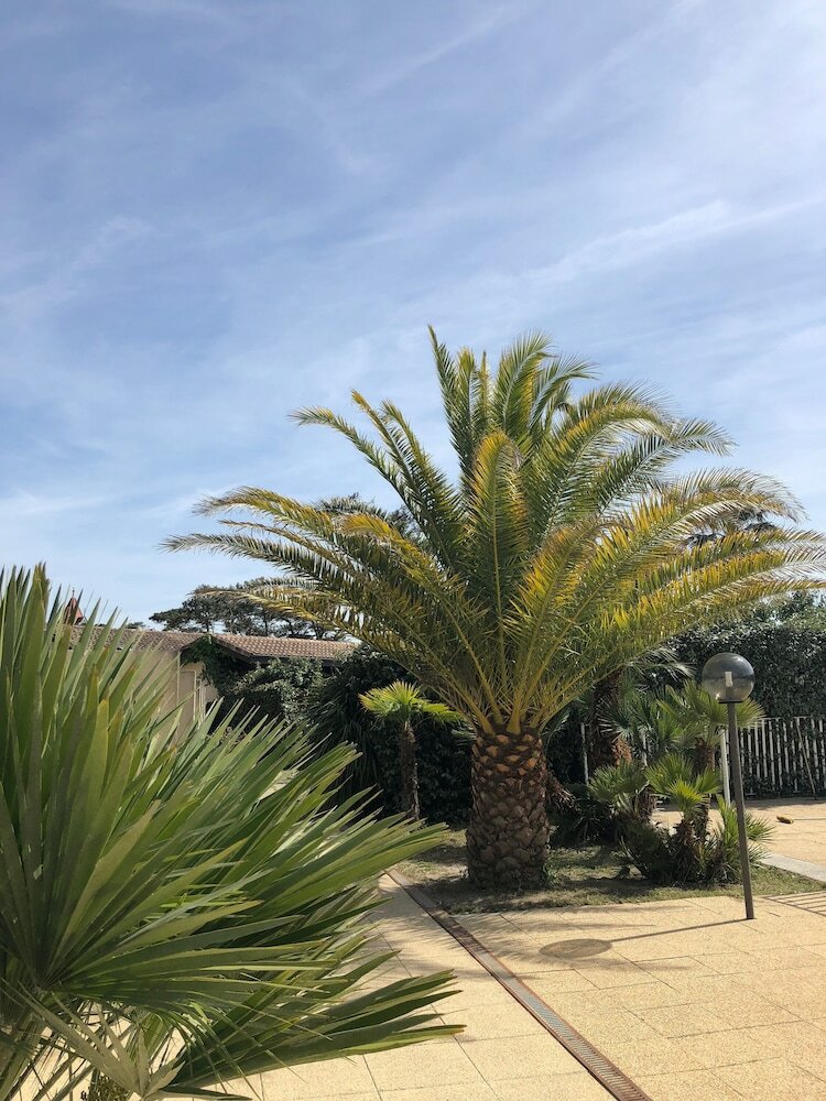 Residencia R�sidence Les Na�ades