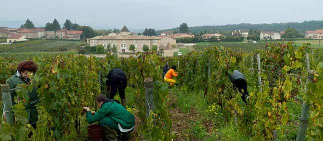 Hotel Ch�teau De Besseuil