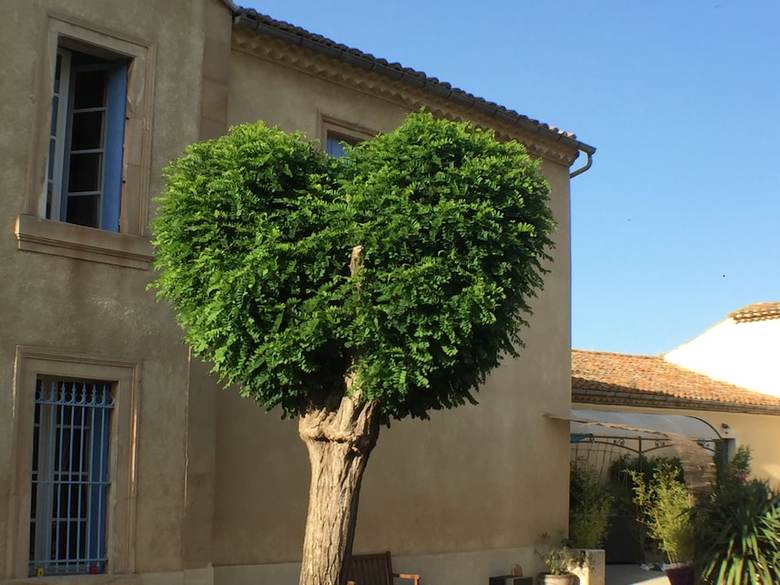 Bed & Breakfast Domaine Du Griffon